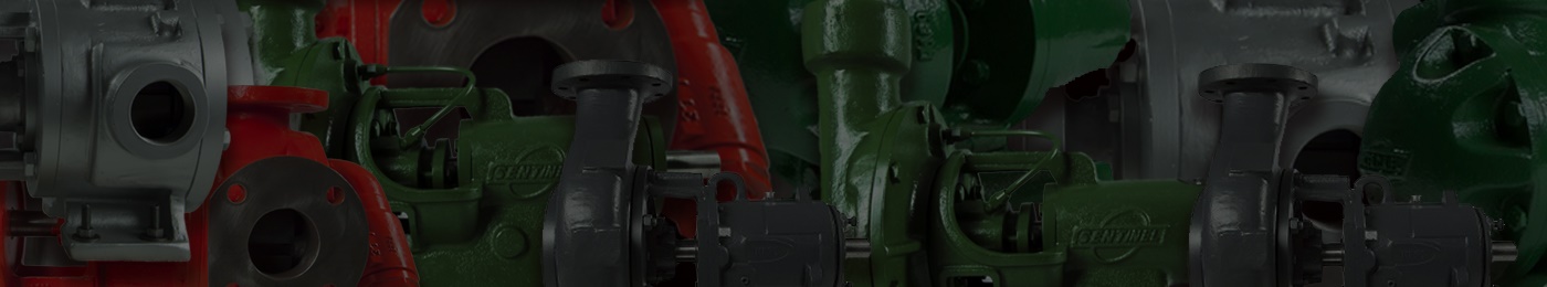 Distribuidor de Bombas Sentinel en México Distribuidor de Bombas Sentinel en México